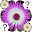 Flowers Memory Game Download on Windows