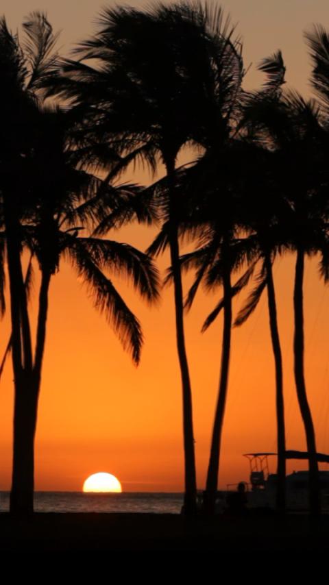 Beach Live Wallpaper - Sunset Screen 3