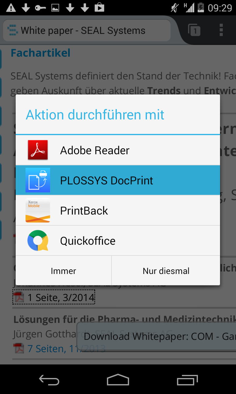 PLOSSYS DocPrint Screen 1