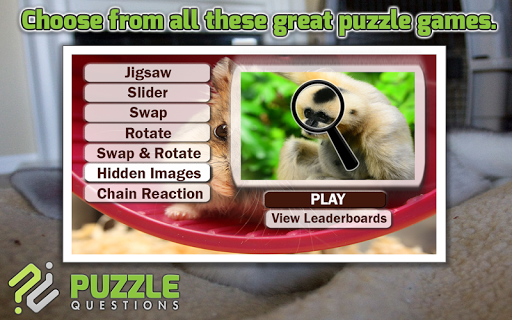 Free Animal Games