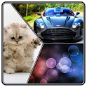 Backgrounds and Wallpapers icon