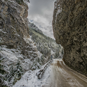 Winter road by Mihail Marzyanov - Landscapes Travel