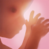 Pregnancy +5.2