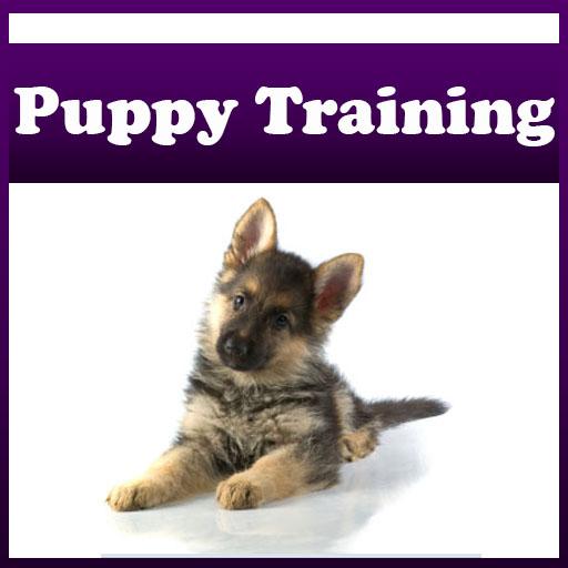 Puppy Training