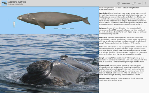 【免費書籍App】Dolphins & Whales Sightings-APP點子