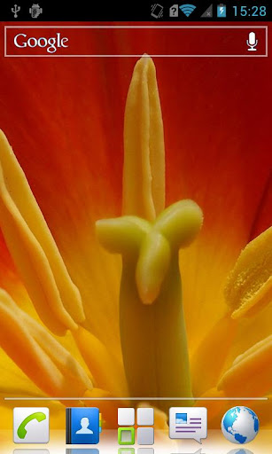 Macro Flowers Live Wallpaper