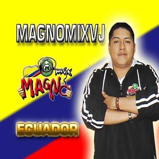 Magnomix Vj