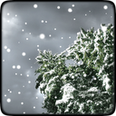 Winter Snowfall Free Wallpaper mobile app icon