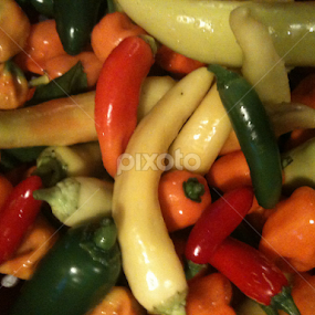 Hot Peppers  by Karin Pelton - Food & Drink Fruits & Vegetables