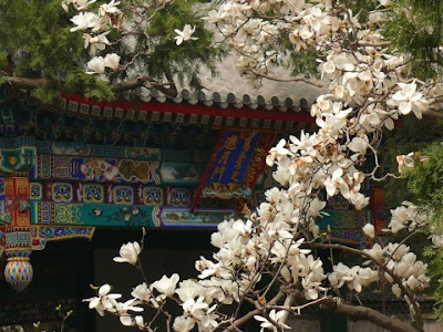 画像 海上保安学校 倍率 590975-海上保安学校 倍率 2021