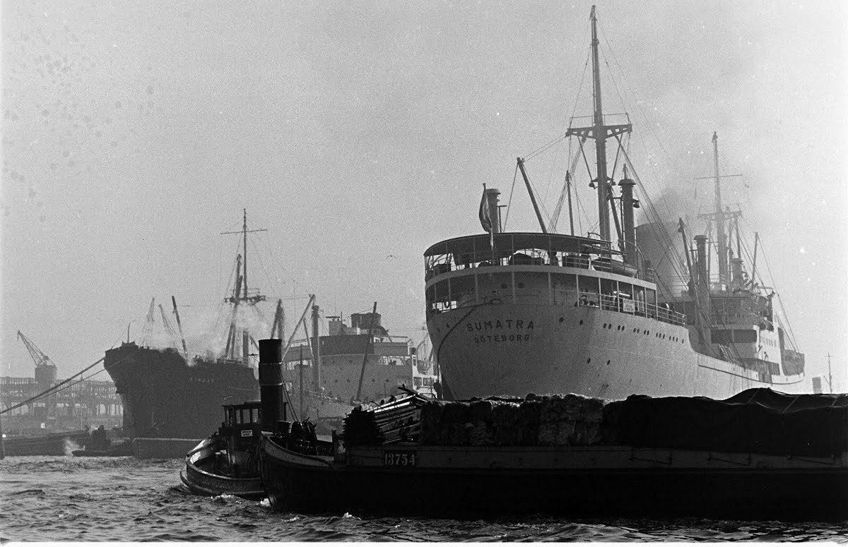 Hamburg essay 07 picture