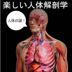 Human Anatomy for Beginner