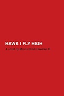 Hawk I Fly High cover