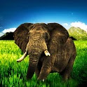 3D elephant 1