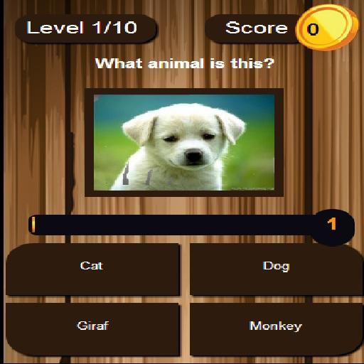 scratch and learn animals