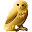 Minrva Download on Windows