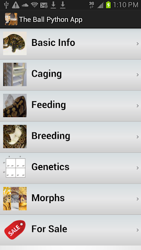 The Ball Python App