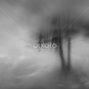 Lost of Eden by Abi Danial - Black & White Landscapes