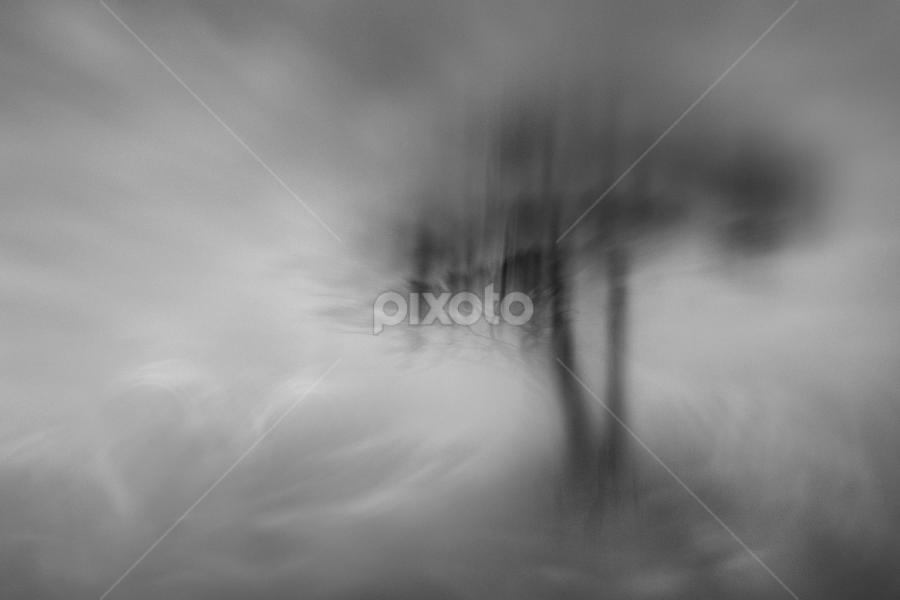 Lost of Eden by Abi Danial - Black & White Landscapes