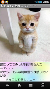 How to get 癒しのニャンコ 1.0 apk for laptop