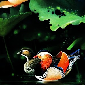 3D Mandarin duck logo