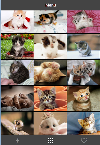 免費下載娛樂APP|Baby Kitten Picture 2015 app開箱文|APP開箱王