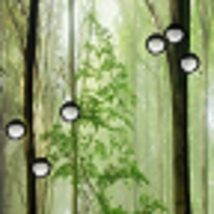 RainDrops Live Wallpapers.apk 1.0