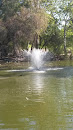 Duck Pond Fountain