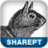 SharePoint for Project Mgt