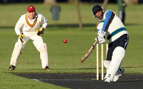 download Superb Cricket Games free