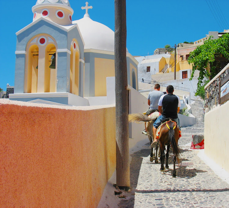 The famous donkeys of Santorini carry visitors from the small port up the steep path to the town of Fira.