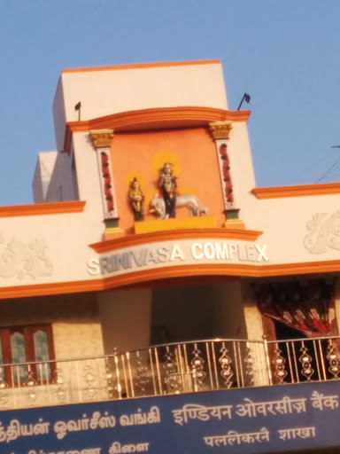 God Krishna Statue at Srinivasa Complex