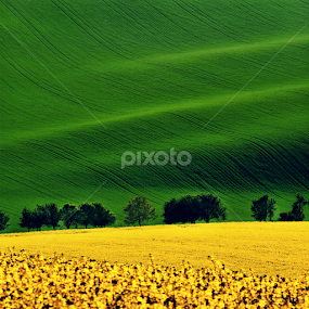 Moravské Toskánsko by Irena Brozova - Landscapes Prairies, Meadows & Fields