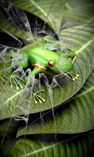 How to mod Froggy Free live wallpaper lastet apk for android