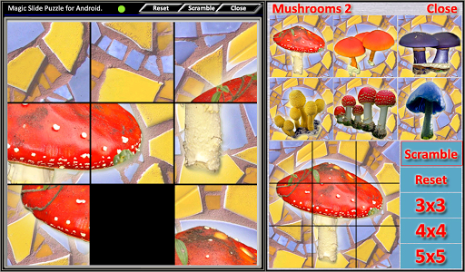 Magic Slide Puzzle Mushrooms 2