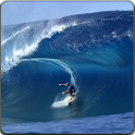LIVE SURF Video WALLPAPER