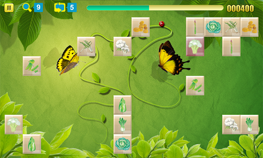 download Onet Kebun Sayur free