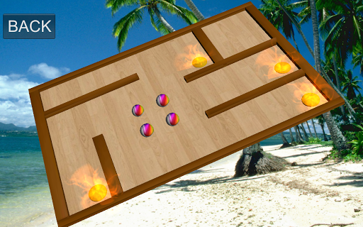 Survivor Fire Ball Maze 3D