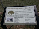 Kendrick Bison and Elk Pasture Viewing Station 