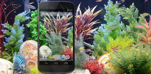 Aquarium 3D Live Wallpaper on Windows PC Download Free  -  