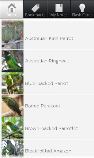 Parrot Species Compendium