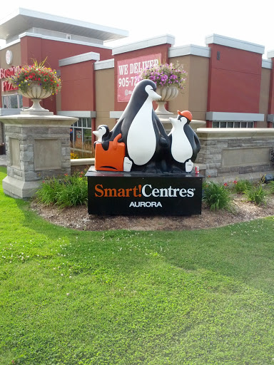 Center Aurora Penguin 2