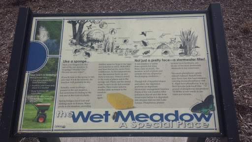 The Wet Meadow
