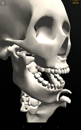 teamLabBody Lite poster 4