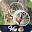 Venn Cats: Circle Jigsaw Download on Windows