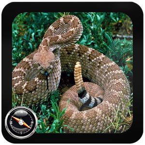 Poisonous Snakes: Venomous logo