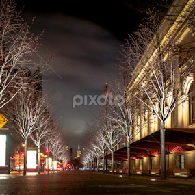 by Wendell Kennedy - City,  Street & Park Street Scenes