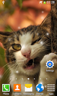 Angry Cat Live Wallpaper Screenshots 14
