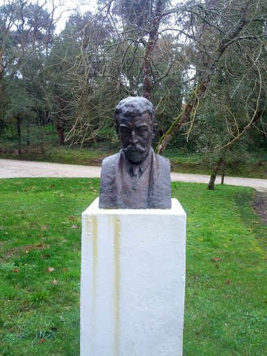 Busto José Malhoa