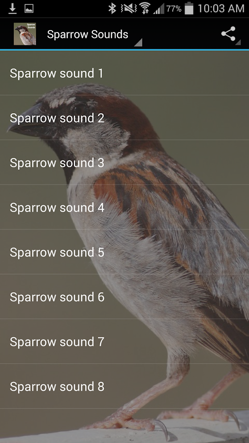 Sparrow Sounds Android Apps on Google Play